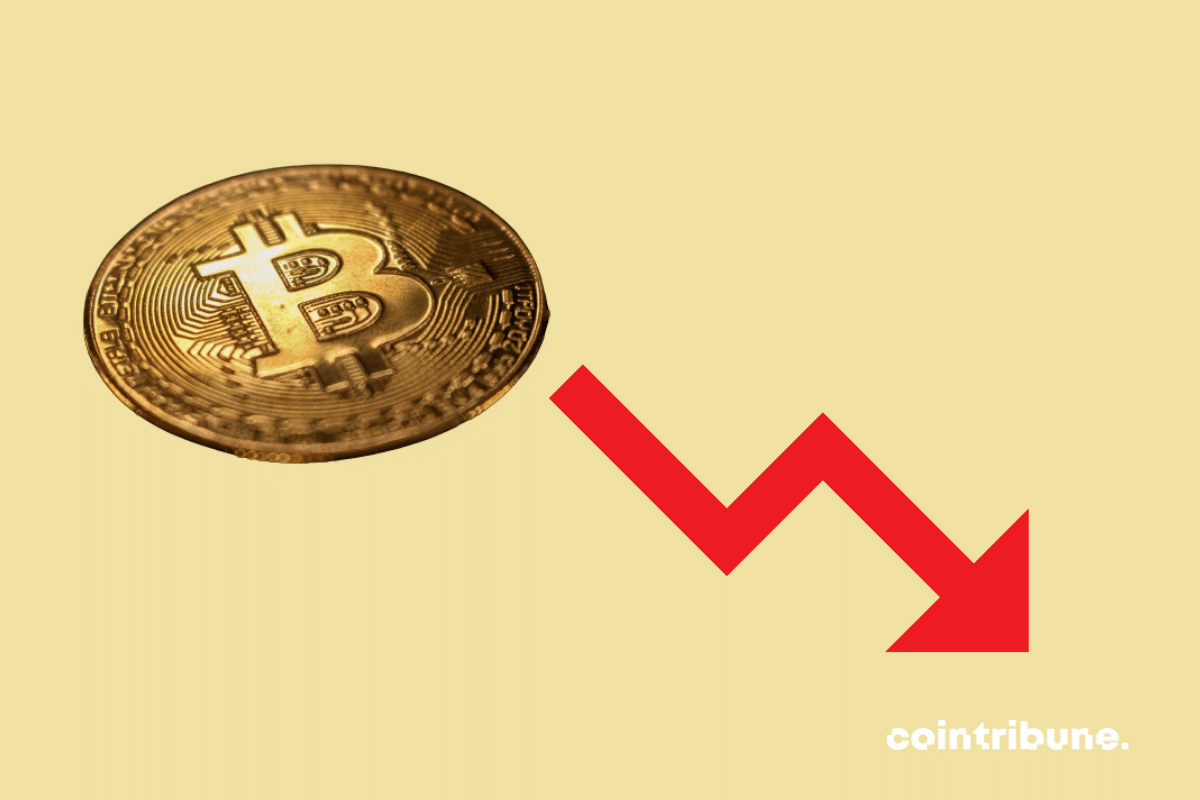 Le bitcoin en chute libre