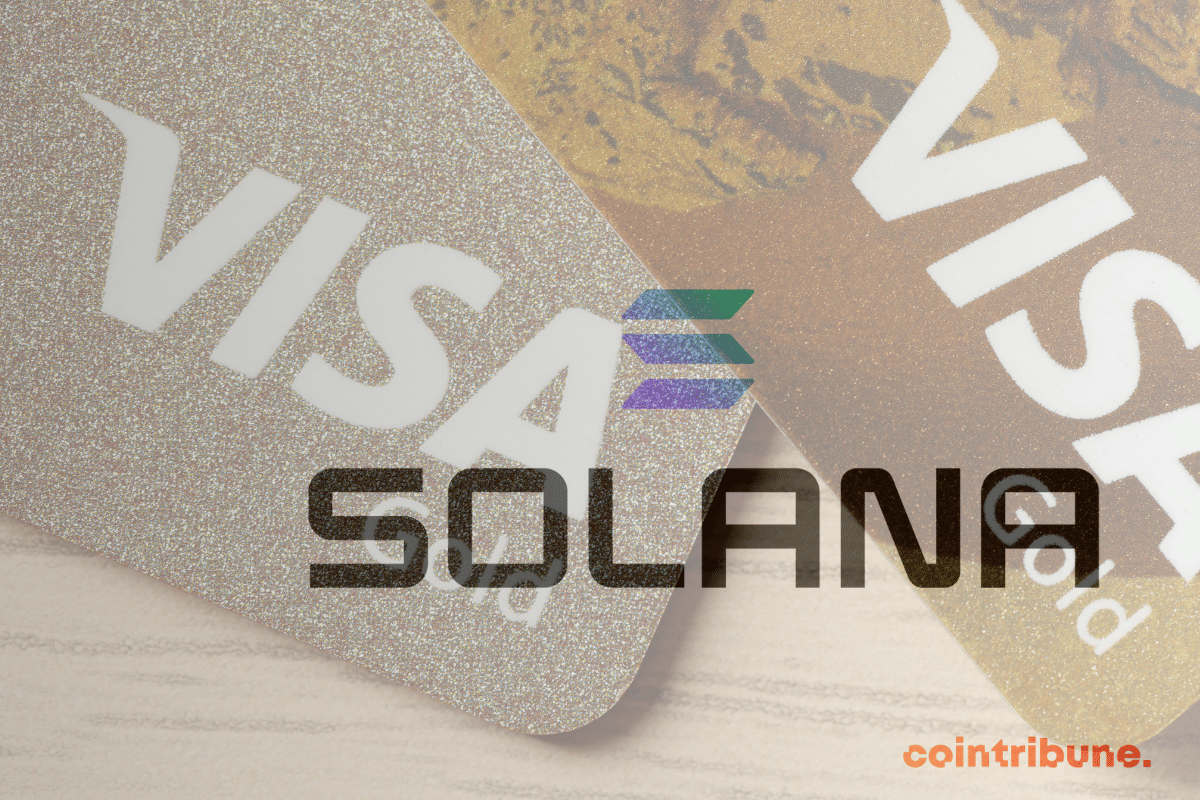Logos de Via et Solana. Le géant des paiements parie sur la blockchain pour conquérir le monde crypto.