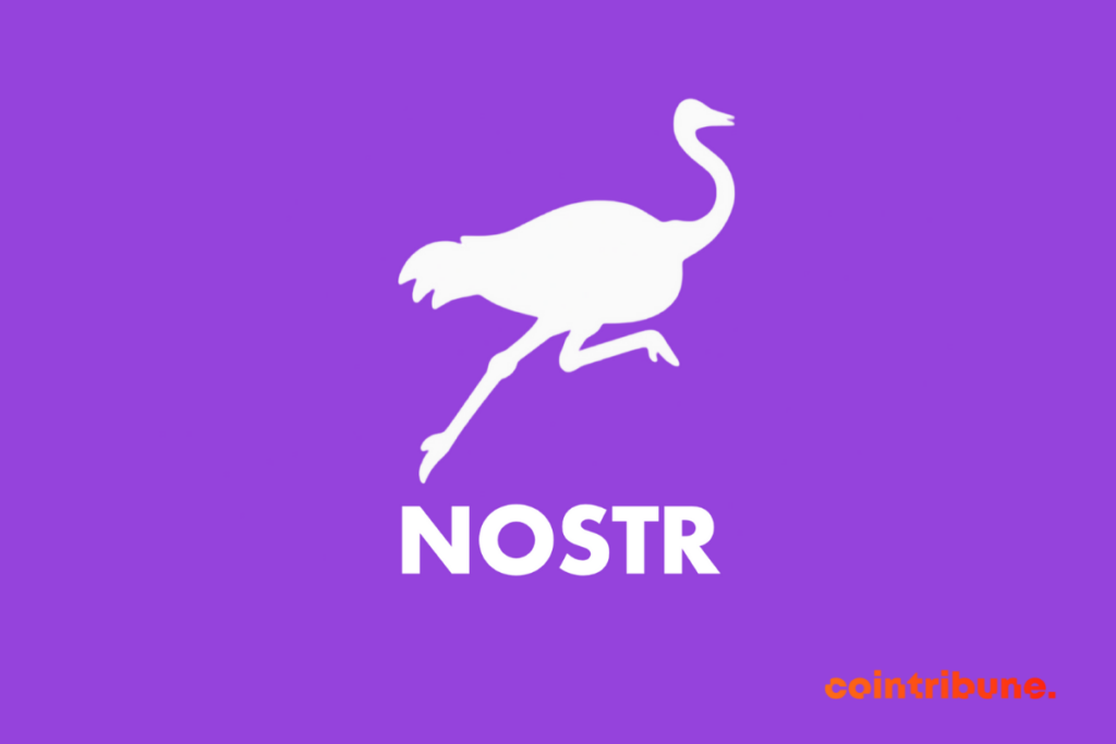 Nostr, un réseau social décentralisé qui gagne en popularité