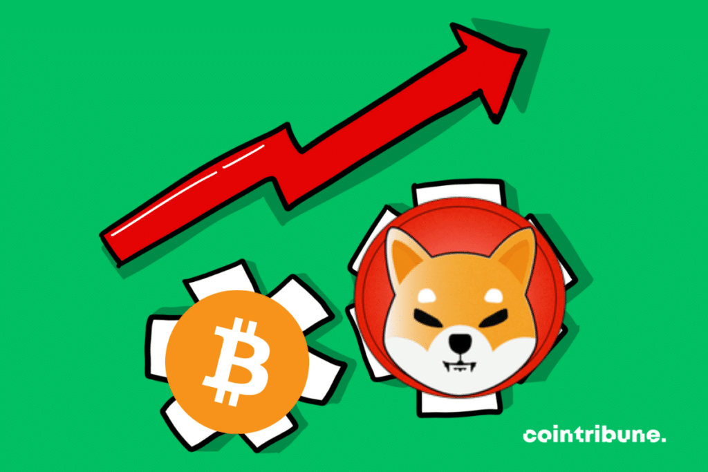 Vecteur de développement, logos du SHIBA INU et du BITCOIN