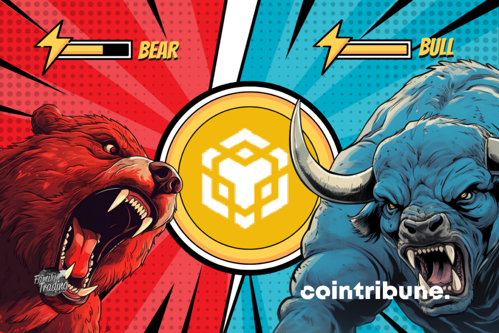 Logo BNB fond rouge et bleu avec de parts et d’autres un ours rouge et un taureau bleu enragés. En haut de chacun, on peut voir la barre de pouvoir de chacun.