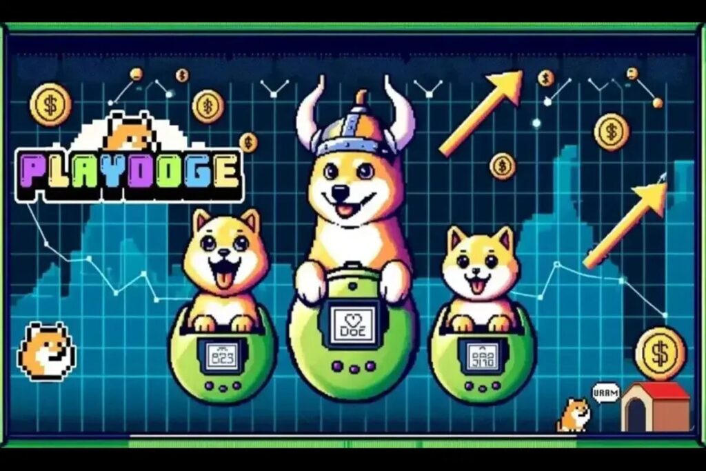 PlayDoge Illustration