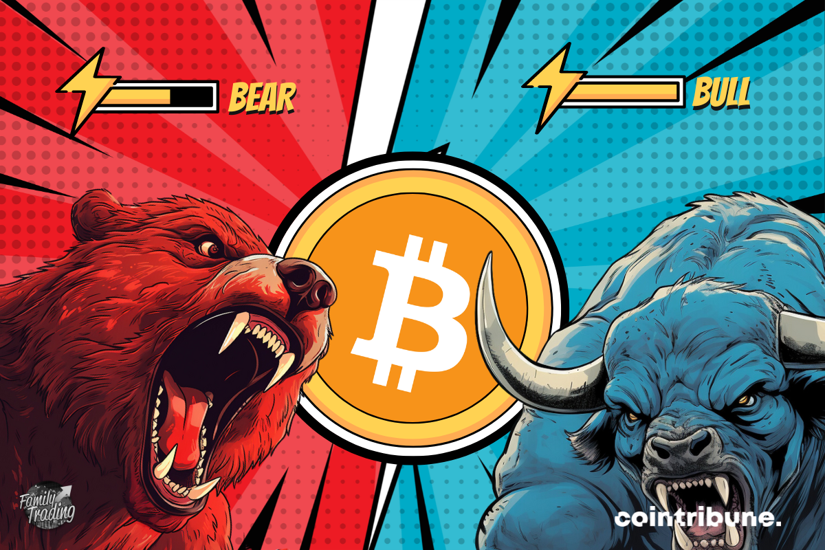 Logo BTC fond rouge et bleu avec de parts et d’autres un ours rouge et un taureau bleu enragés. En haut de chacun, on peut voir la barre de pouvoir de chacun.