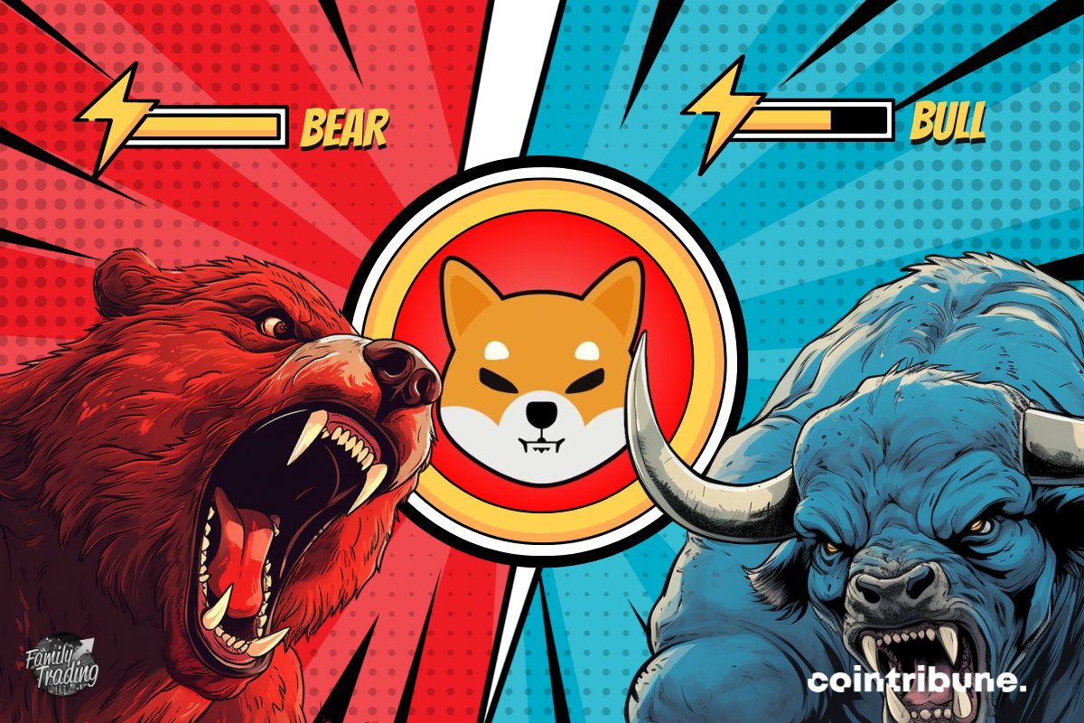 Logo shib fond rouge et bleu avec de parts et d’autres un ours rouge et un taureau bleu enragés. En haut de chacun, on peut voir la barre de pouvoir de chacun.