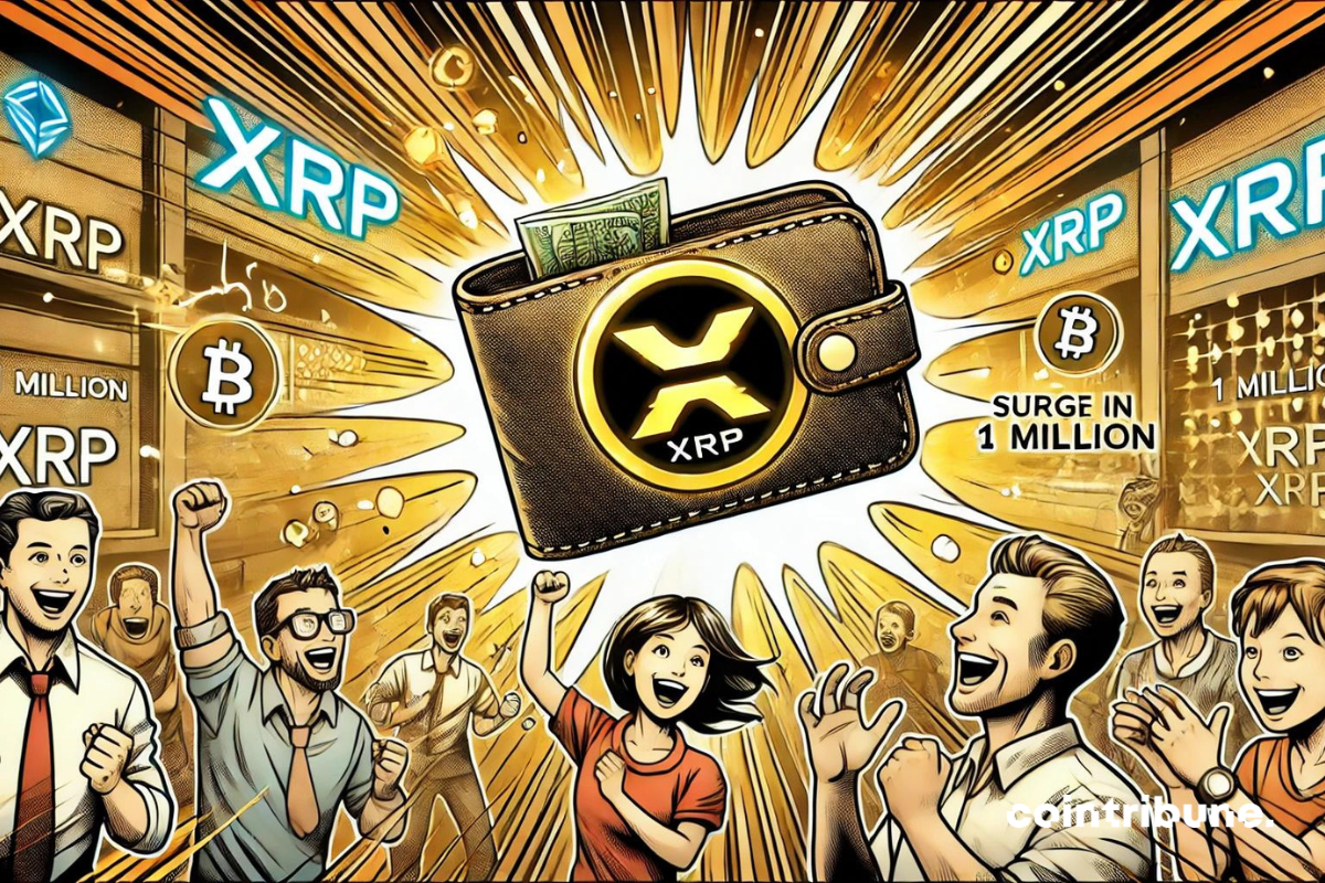 Crypto : Le nombre de portefeuilles XRP explose