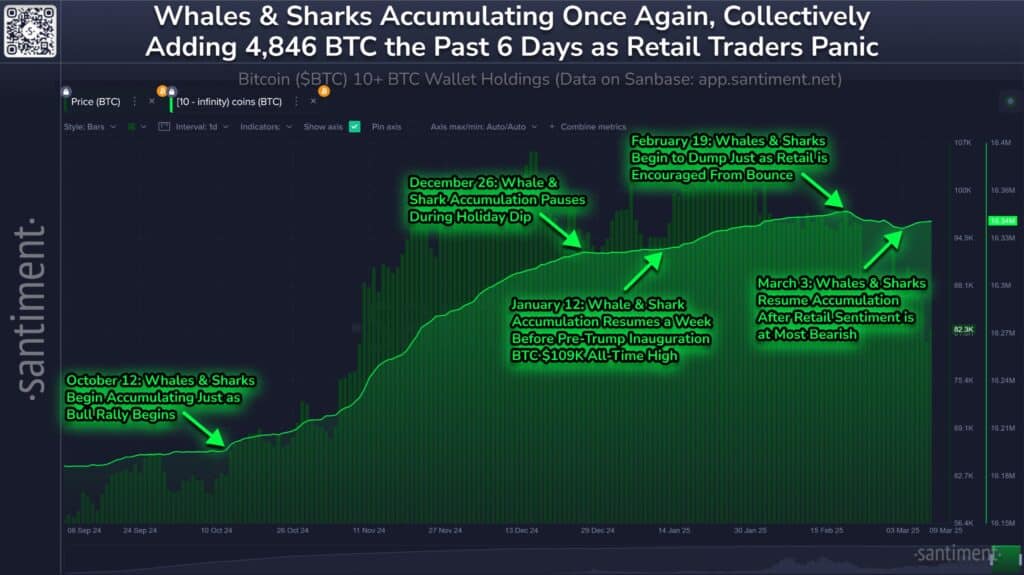 Bitcoins large portfolios have accumulated nearly 5,000 BTC