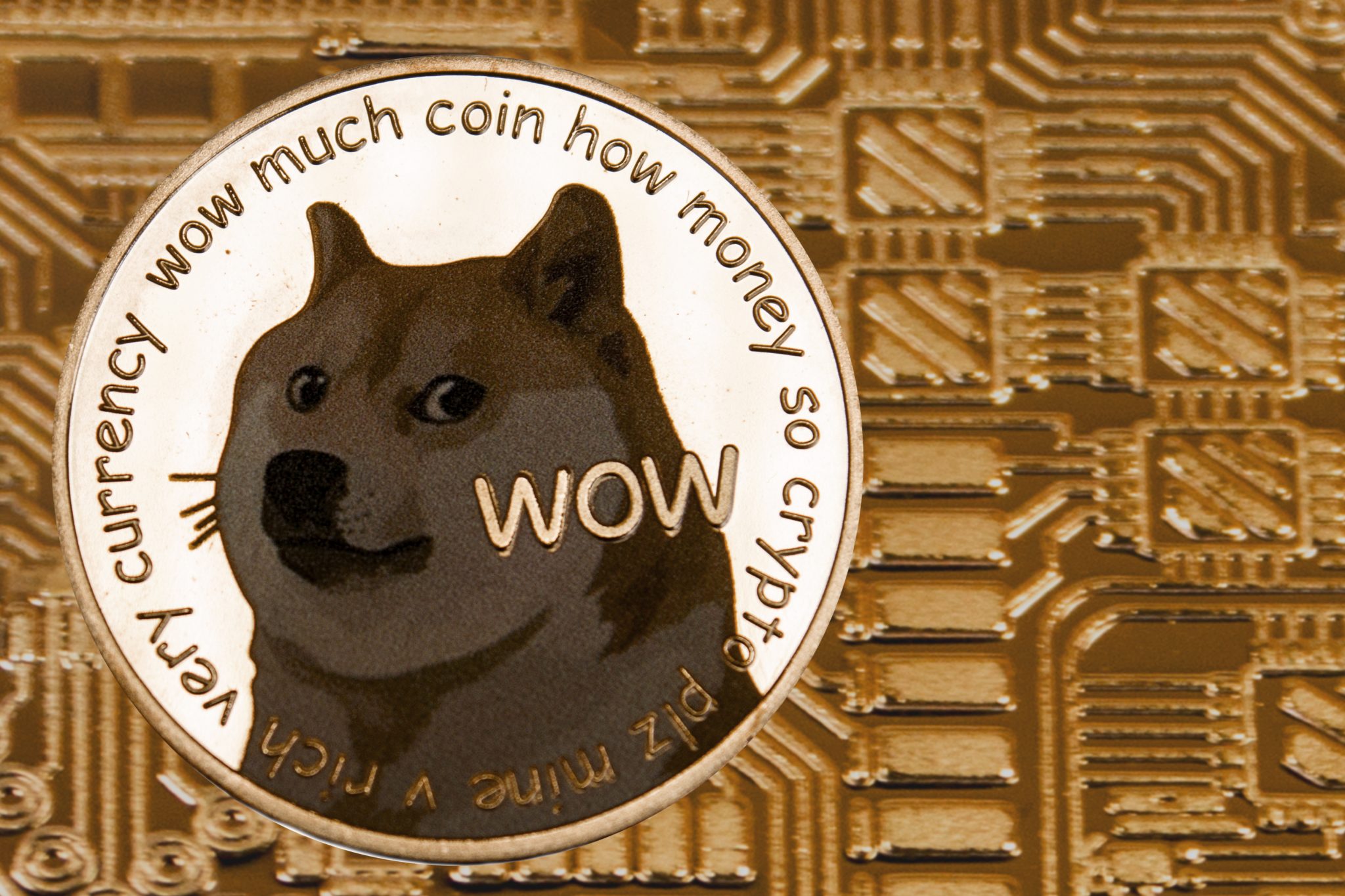 Siver coin Dogecoin on the gold circuit background.